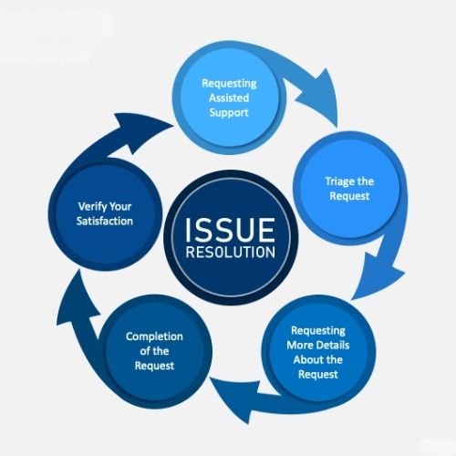 Process of our Title Clearing and Issue Resolution Services​